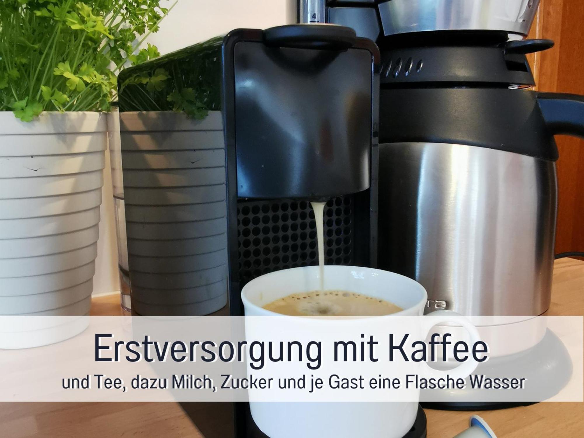 Ferienhaus Schwaab-Scherr, Genau Zwischen Bernkastel-Kues Und Traben-Trarbach, Mit Kostenlosem Oepnv-Ticket Fuer Bus Und Bahn, Parkplaetzen Und Fahrradgarage Erden Ngoại thất bức ảnh