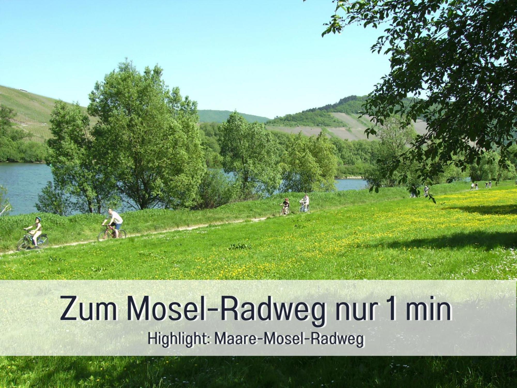 Ferienhaus Schwaab-Scherr, Genau Zwischen Bernkastel-Kues Und Traben-Trarbach, Mit Kostenlosem Oepnv-Ticket Fuer Bus Und Bahn, Parkplaetzen Und Fahrradgarage Erden Ngoại thất bức ảnh