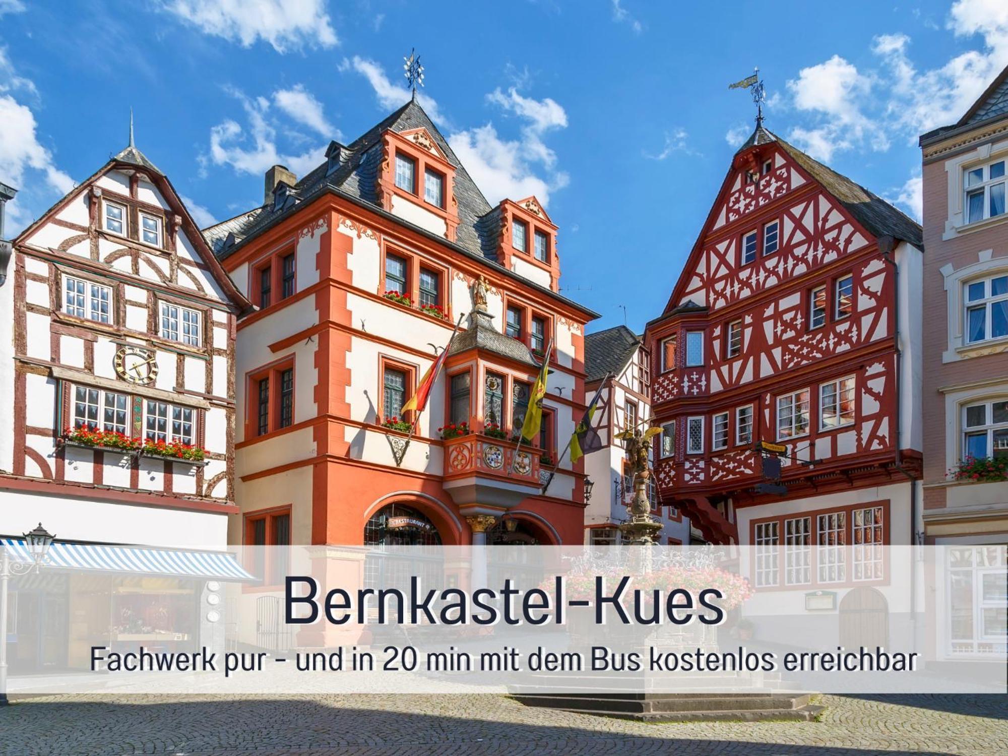 Ferienhaus Schwaab-Scherr, Genau Zwischen Bernkastel-Kues Und Traben-Trarbach, Mit Kostenlosem Oepnv-Ticket Fuer Bus Und Bahn, Parkplaetzen Und Fahrradgarage Erden Ngoại thất bức ảnh