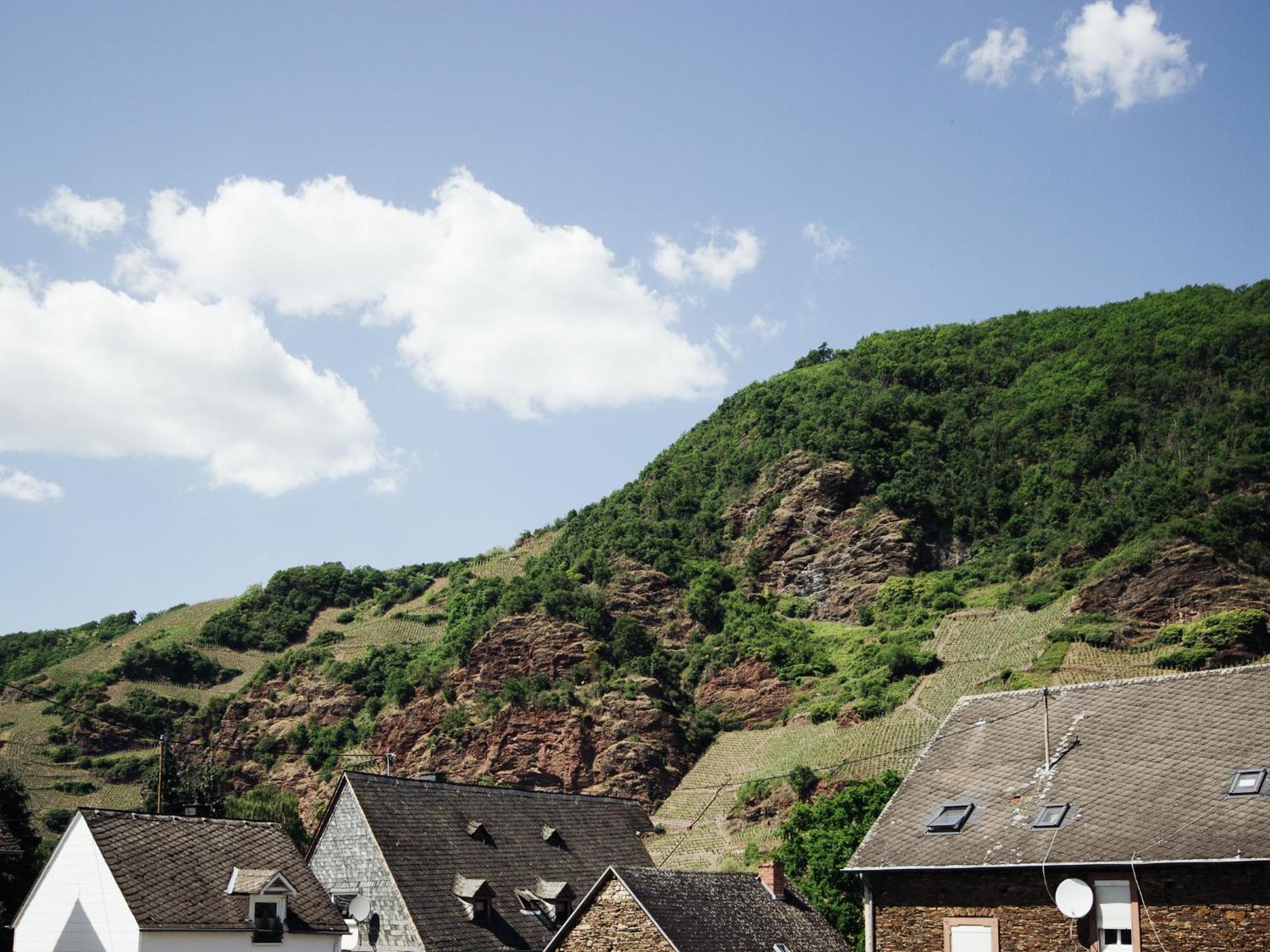 Ferienhaus Schwaab-Scherr, Genau Zwischen Bernkastel-Kues Und Traben-Trarbach, Mit Kostenlosem Oepnv-Ticket Fuer Bus Und Bahn, Parkplaetzen Und Fahrradgarage Erden Ngoại thất bức ảnh